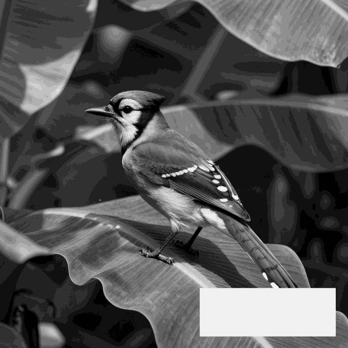 তাতিয়ানা স্মিথের ০.১১ সেকেন্ড: রেকর্ডের কতটা কাছে, প্রতিযোগিতার কতটা দূরে